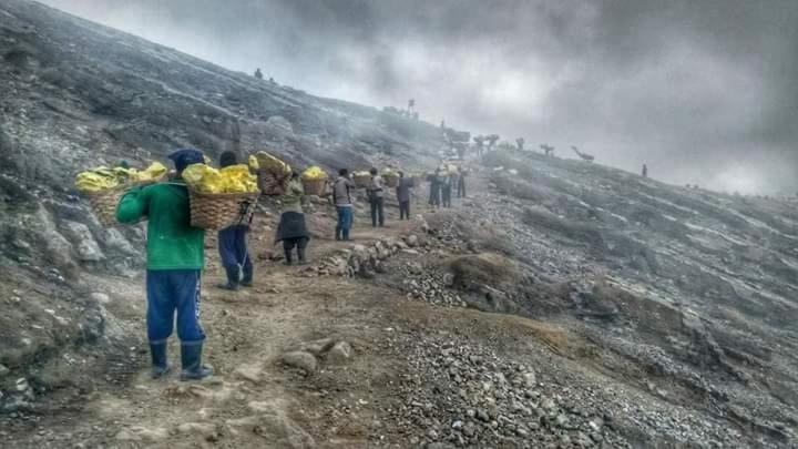 בניוואנגי Ijen Miner Family Homestay מראה חיצוני תמונה