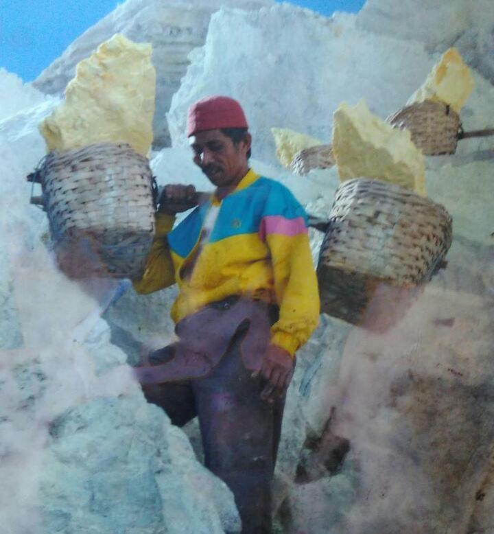 בניוואנגי Ijen Miner Family Homestay מראה חיצוני תמונה